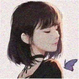 读者沈青梧头像